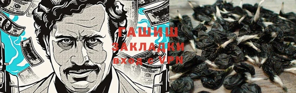 ГАЛЛЮЦИНОГЕННЫЕ ГРИБЫ Киренск