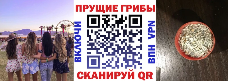 Купить  Борисоглебск  Галлюциногенные грибы Psilocybine cubensis 